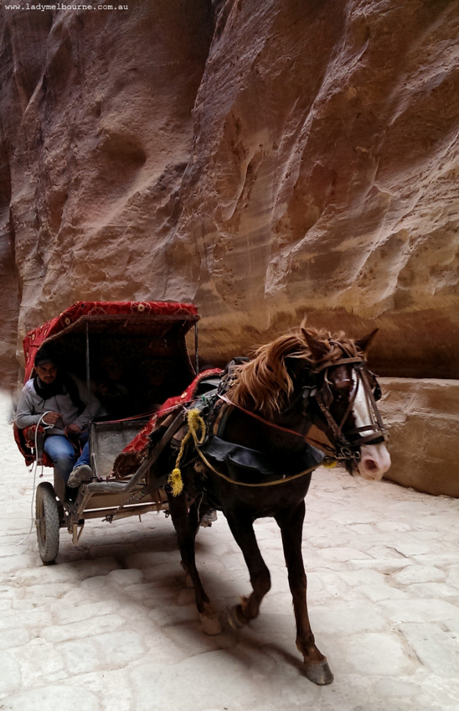 Bedouin horse and cart, Petra, Jordan