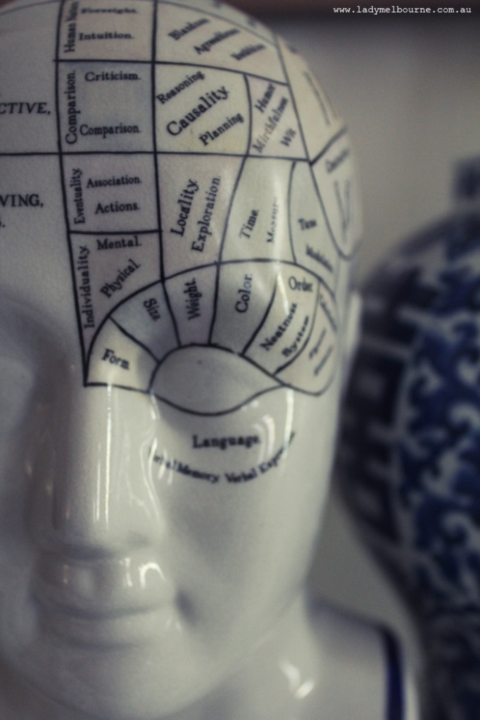 Phrenology head