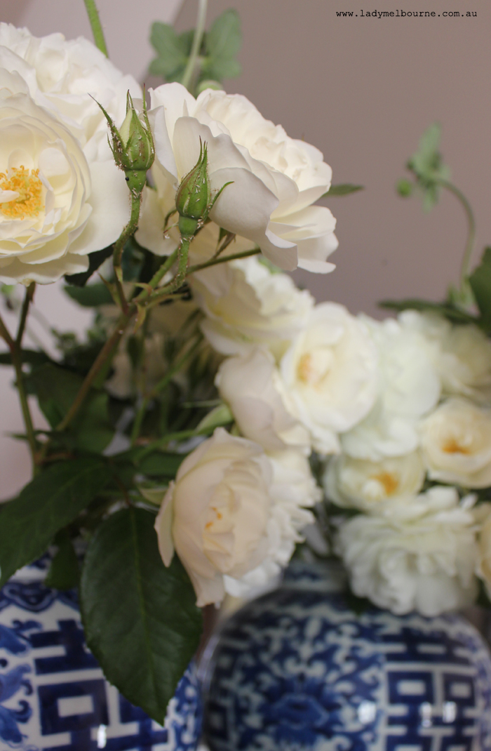 White roses